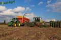 Ensilage de maïs 2012 (Egide London)
