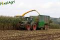 ensilage-de-mais-2012-nix-1.jpg