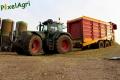 ensilage-de-mais-2012-nix-13.jpg