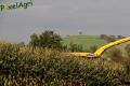ensilage-de-mais-2012-nix-9.jpg