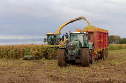 ensilage-de-mais-2012-otten-047aa.jpg