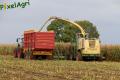 Ensilage de maïs 2012 (Otten)