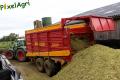 Ensilage de maïs 2012 (Otten)