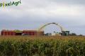 Ensilage de maïs 2012 (Otten)