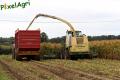 Ensilage de maïs 2012 (Otten)