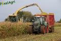 Ensilage de maïs 2012 (Otten)