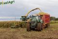 Ensilage de maïs 2012 (Otten)