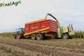 Ensilage de maïs 2012 (Otten)