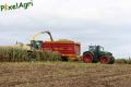 Ensilage de maïs 2012 (Otten)