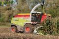 ensilage-de-mais-2012-ruwet-039c.jpg