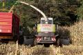 ensilage-de-mais-2012-ruwet-109copy.jpg
