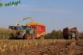 ensilage-de-mais-2012-ruwet-115c.jpg