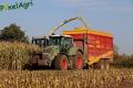 ensilage-de-mais-2012-ruwet-116c.jpg