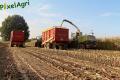 ensilage-de-mais-2012-ruwet-174c.jpg