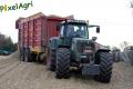 ensilage-de-mais-2012-ruwet-283c.jpg