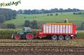Ensilage de maïs 2012 (Schoonbroodt)