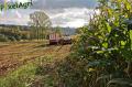 Ensilage de maïs 2012 (Schoonbroodt)