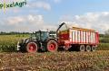 Ensilage de maïs 2012 (Schoonbroodt)
