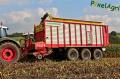 Ensilage de maïs 2012 (Schoonbroodt)