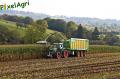 Ensilage de maïs 2012 (Schoonbroodt)