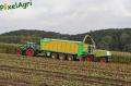 Ensilage de maïs 2012 (Schoonbroodt)