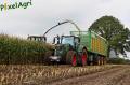Ensilage de maïs 2012 (Schoonbroodt)