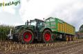 Ensilage de maïs 2012 (Schoonbroodt)