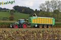Ensilage de maïs 2012 (Schoonbroodt)
