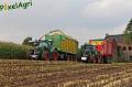 Ensilage de maïs 2012 (Schoonbroodt)