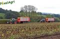 Ensilage de maïs 2012 (Schoonbroodt)