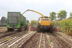 ensilage-de-mais-2012-schoonbroodt-243-vert.jpg