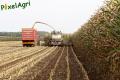 Ensilage de maïs 2012 (Vital Laschet & fils)