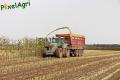 Ensilage de maïs 2012 (Vital Laschet & fils)
