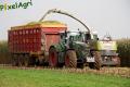 Ensilage de maïs 2012 (Vital Laschet & fils)