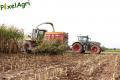 Ensilage de maïs 2012 (Vital Laschet & fils)