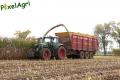 Ensilage de maïs 2012 (Vital Laschet & fils)