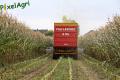 ensilage-de-mais-2012-vital-laschet-fils-2-1.jpg
