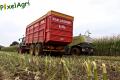 ensilage-de-mais-2012-vital-laschet-fils-2-12.jpg