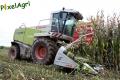 ensilage-de-mais-2012-vital-laschet-fils-2-2.jpg