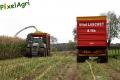 ensilage-de-mais-2012-vital-laschet-fils-2-3.jpg