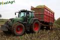 ensilage-de-mais-2012-vital-laschet-fils-2-4.jpg