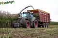 ensilage-de-mais-2012-vital-laschet-fils-2-5.jpg