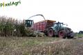 ensilage-de-mais-2012-vital-laschet-fils-2-6.jpg