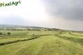 Ensilage d'herbe (Schoonbroodt)