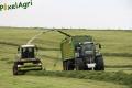 Ensilage d'herbe (Schoonbroodt)