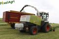 Ensilage d'herbe (Schoonbroodt)