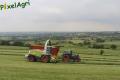 Ensilage d'herbe (Schoonbroodt)