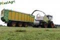 Ensilage d'herbe (Schoonbroodt)