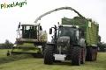 Ensilage d'herbe (Schoonbroodt)