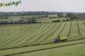 Ensilage d'herbe (Schoonbroodt)